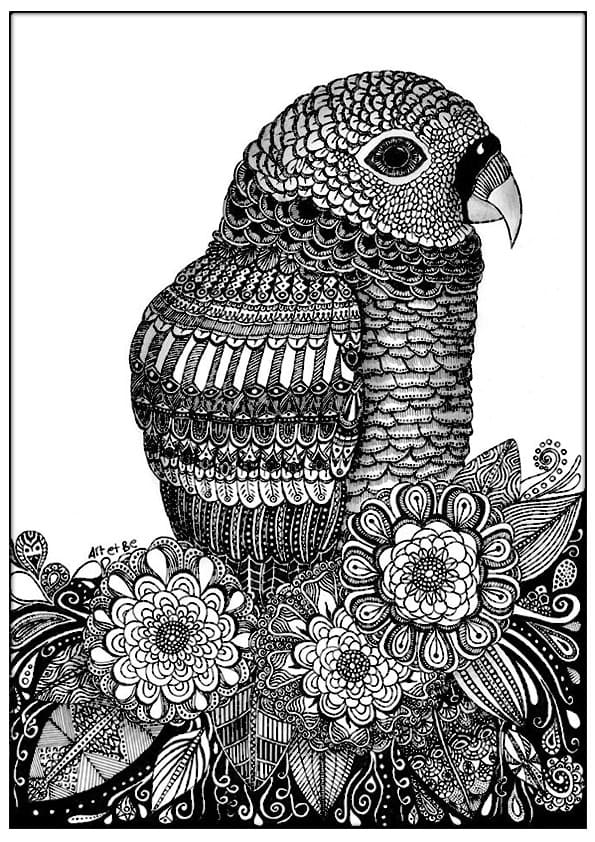 Madár Zentangle színező. Ingyenes letöltés, nyomtatás vagy színezés online!