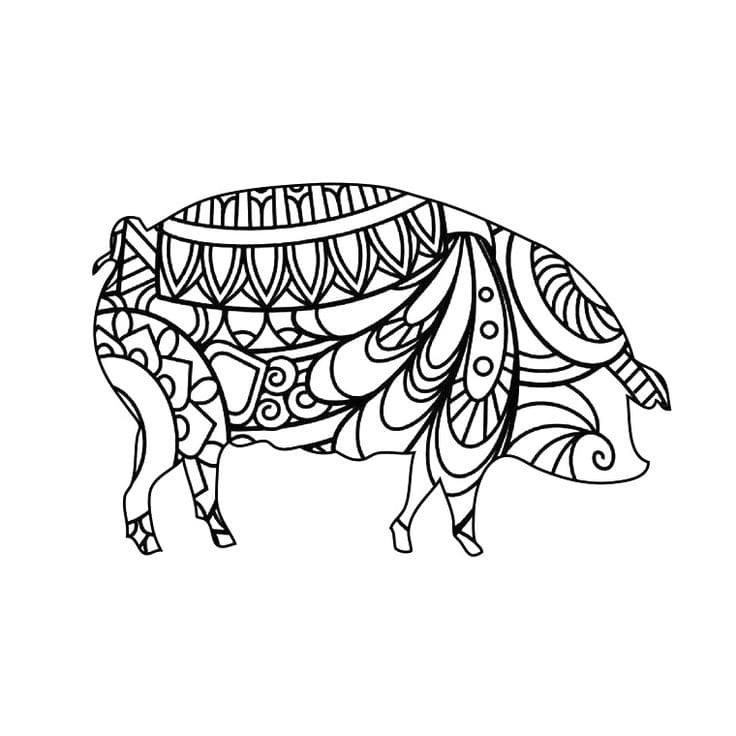 Malac mandala nyomtatás