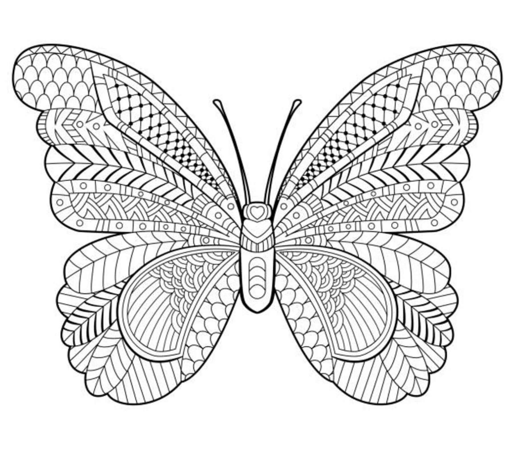 Tökéletes Pillangó Mandala