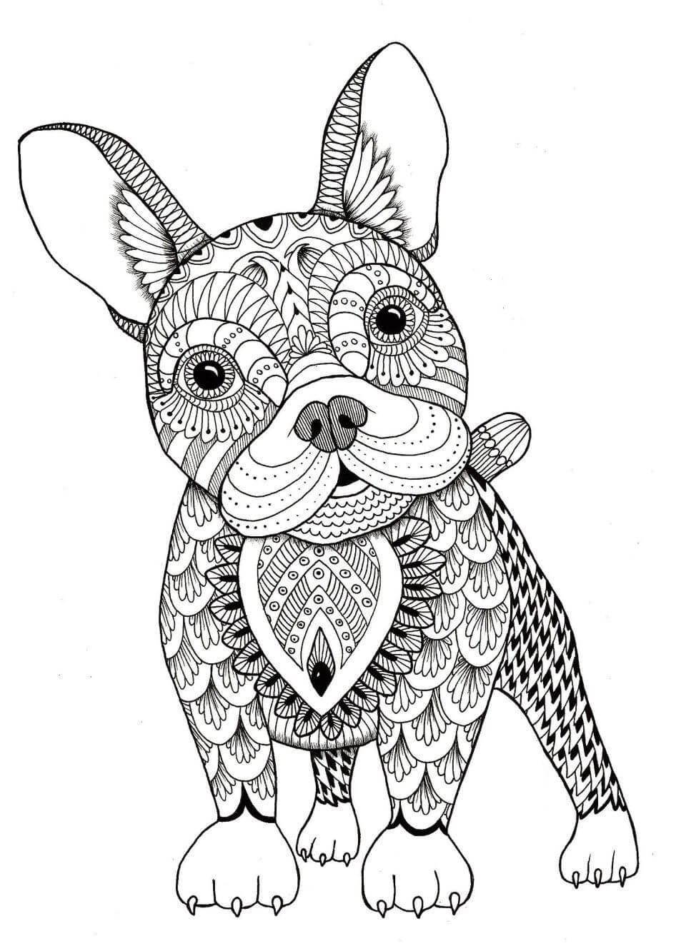 Vicces bikakutya mandala