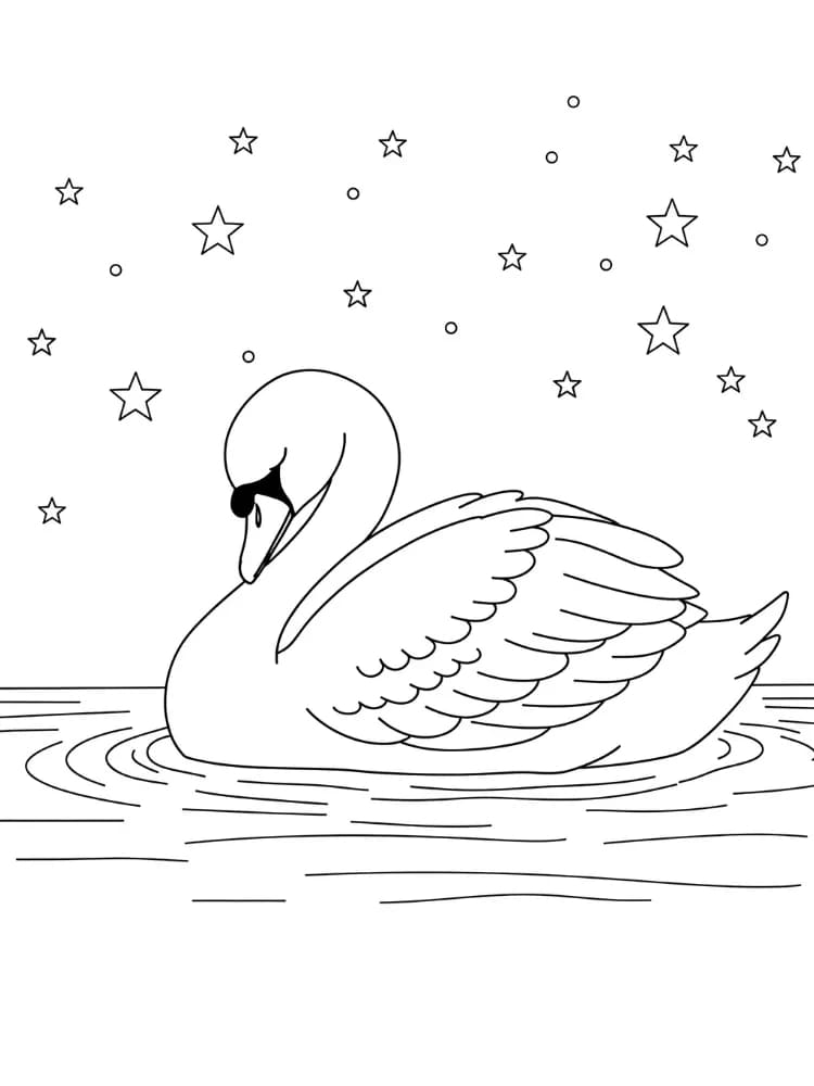 A Hattyú csodálatos