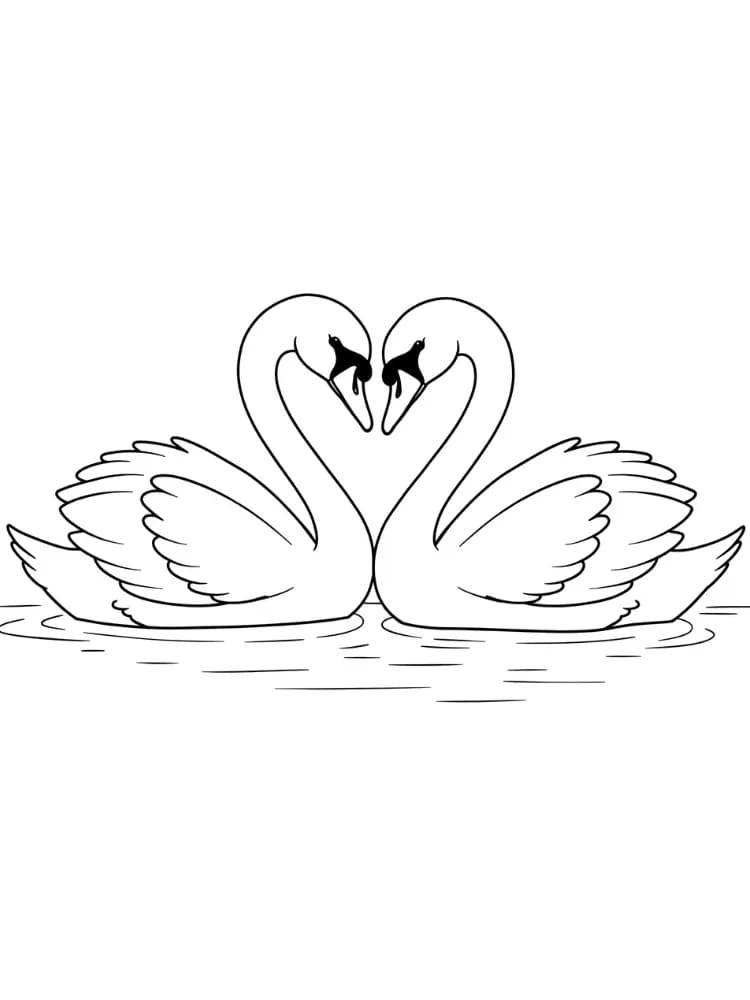 A hattyú szerelme