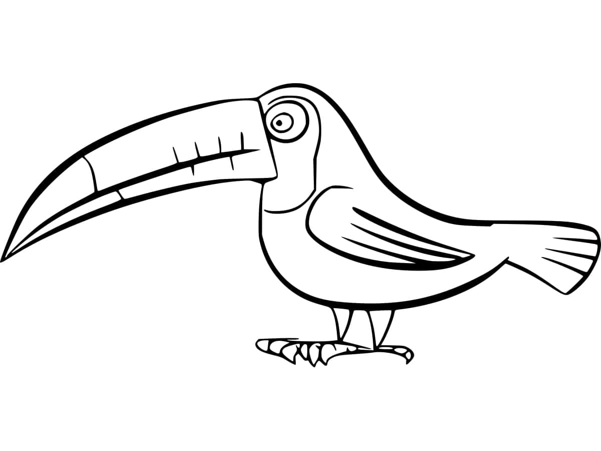 Foltoscsőrű tukán