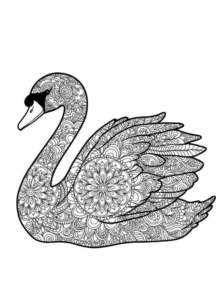 Gyönyörű hattyú szabad