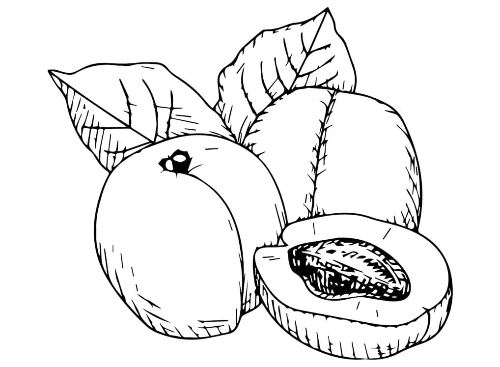 Gyümölcs sárgabarack mentes