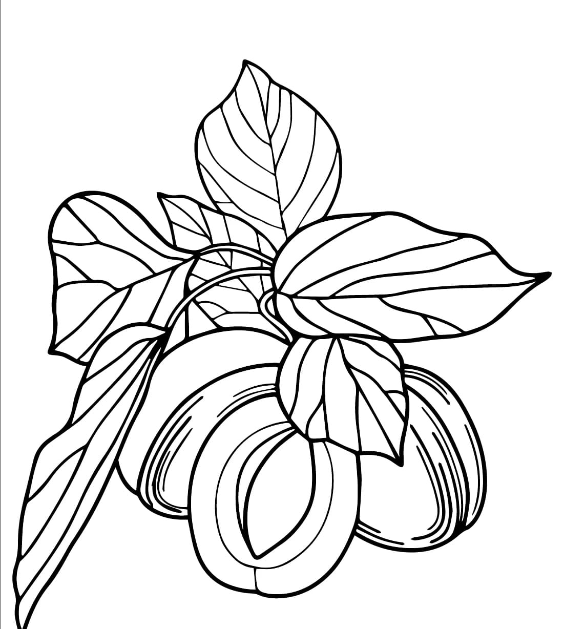 Gyümölcsös sárgabarack gyerekeknek