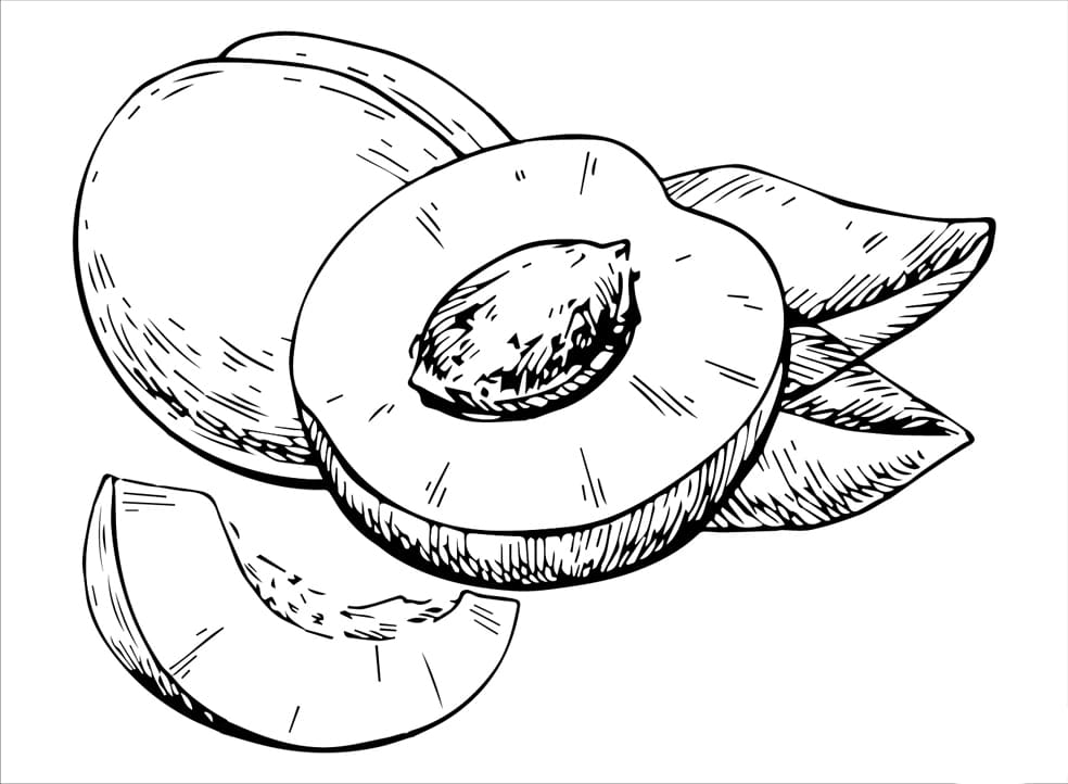 Gyümölcsös sárgabarack nyomtatható