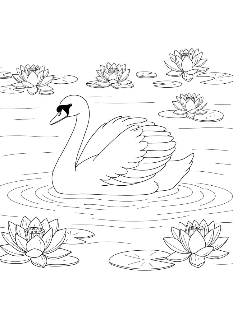 Hattyú ingyenes gyerekeknek