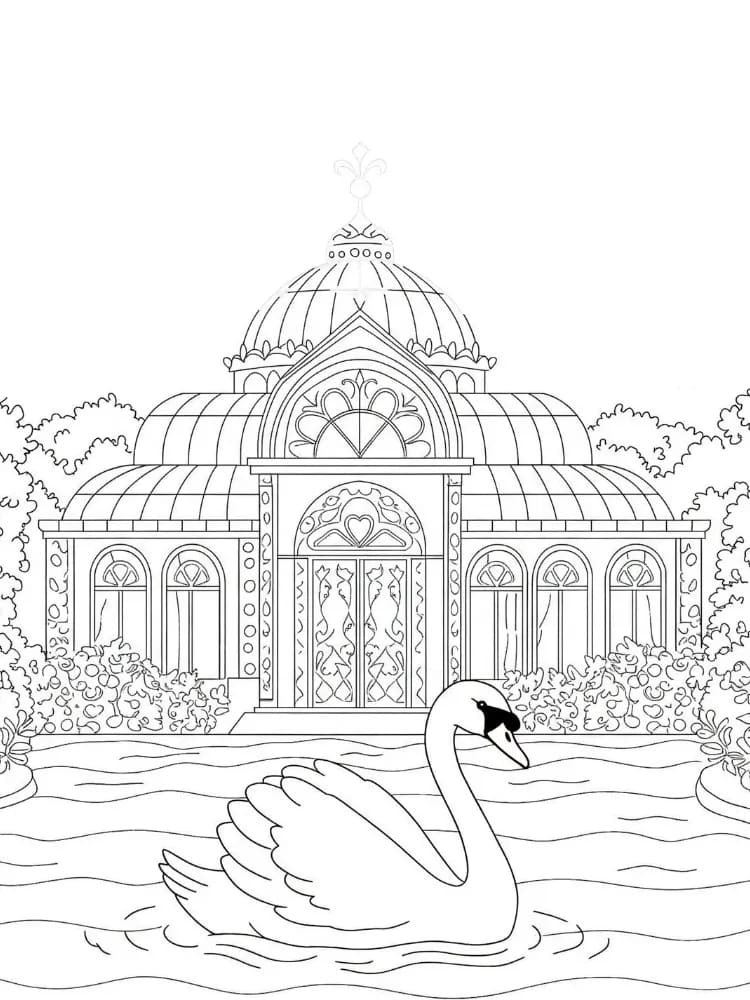 Ingyenesen nyomtatható hattyú