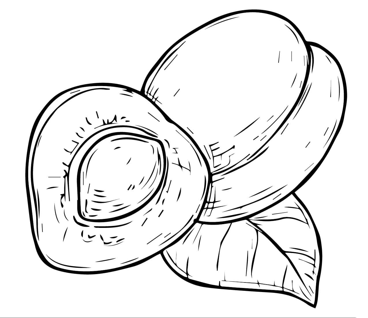 Nyomtatható sárgabarack gyümölcs