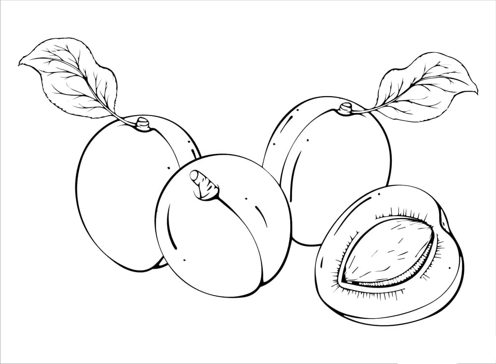 Nyomtatható sárgabarack