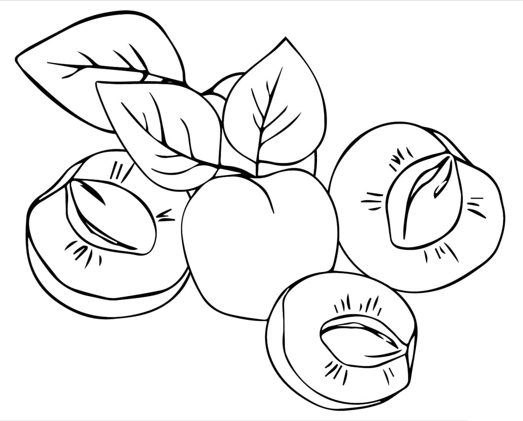 Sárgabarackos képek