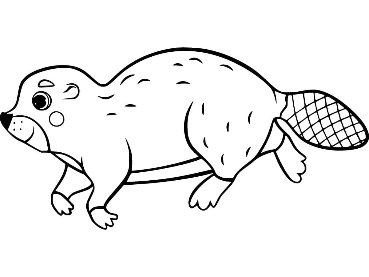 Hód nyomtatható gyerekeknek