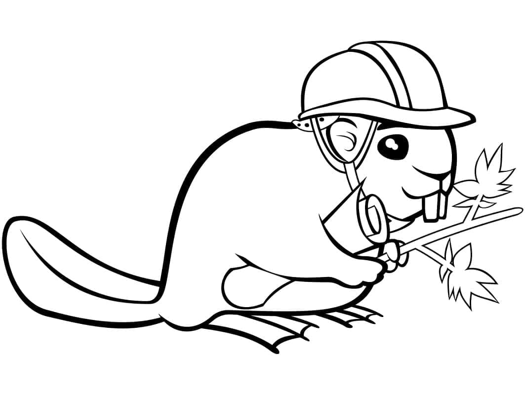 Ingyenes hód nyomtatás