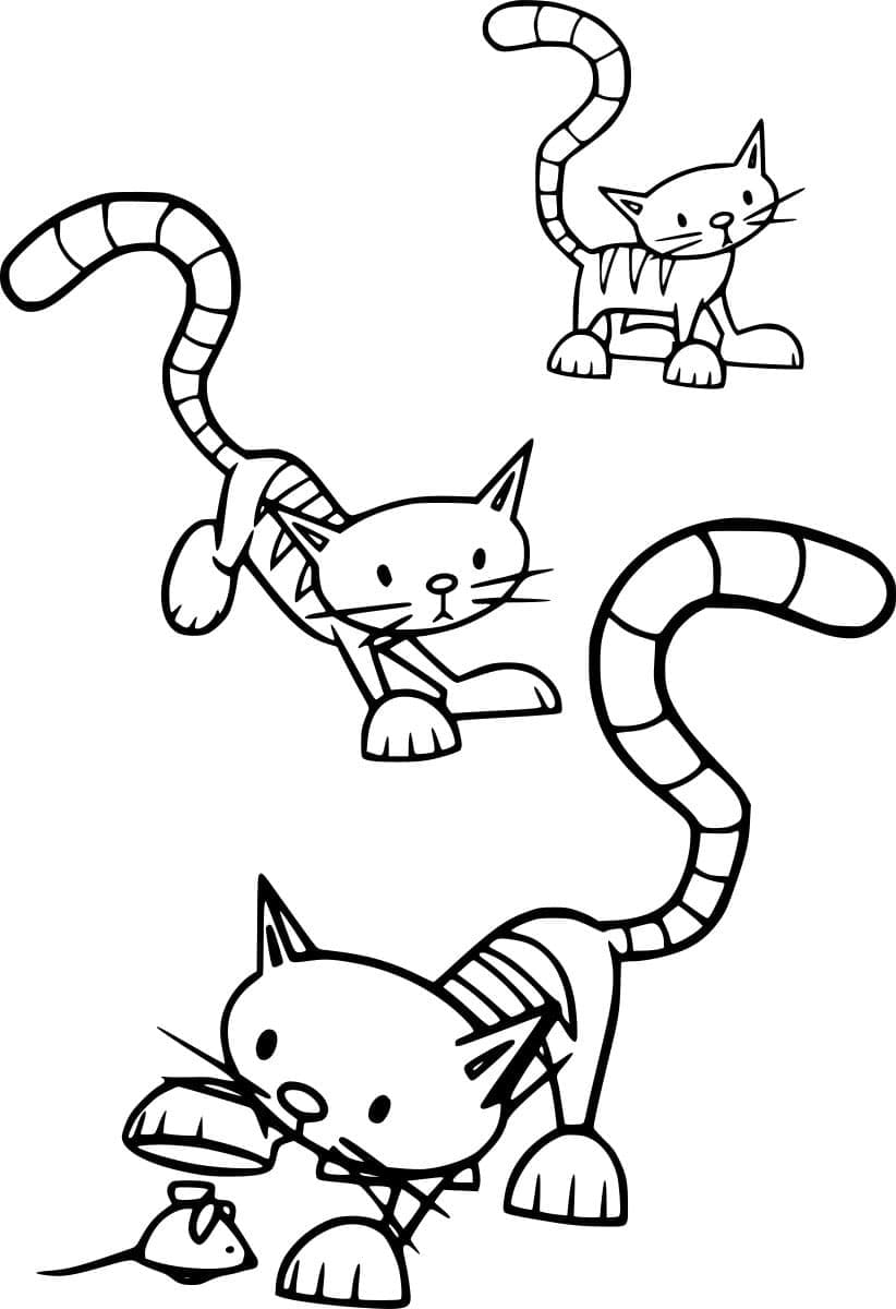 Szardínia egereket fog