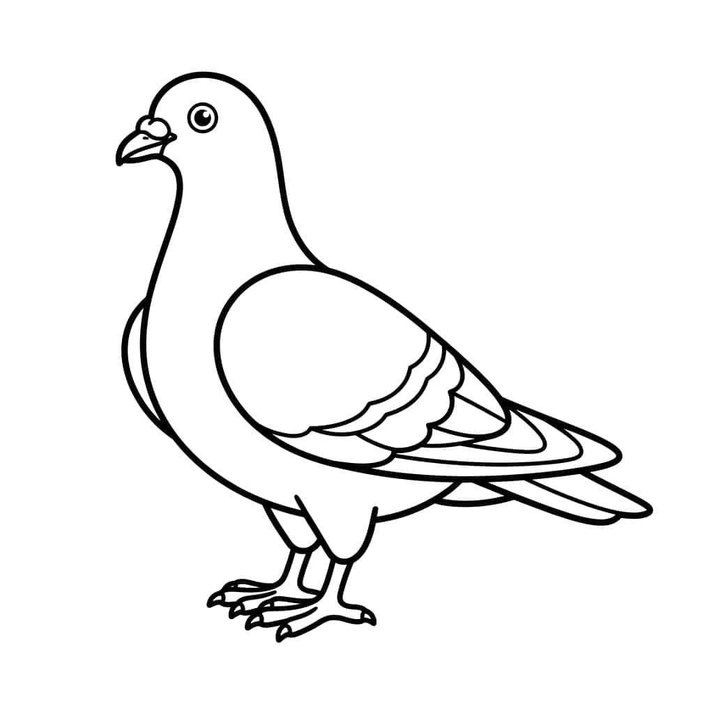 A galamb csodálatos