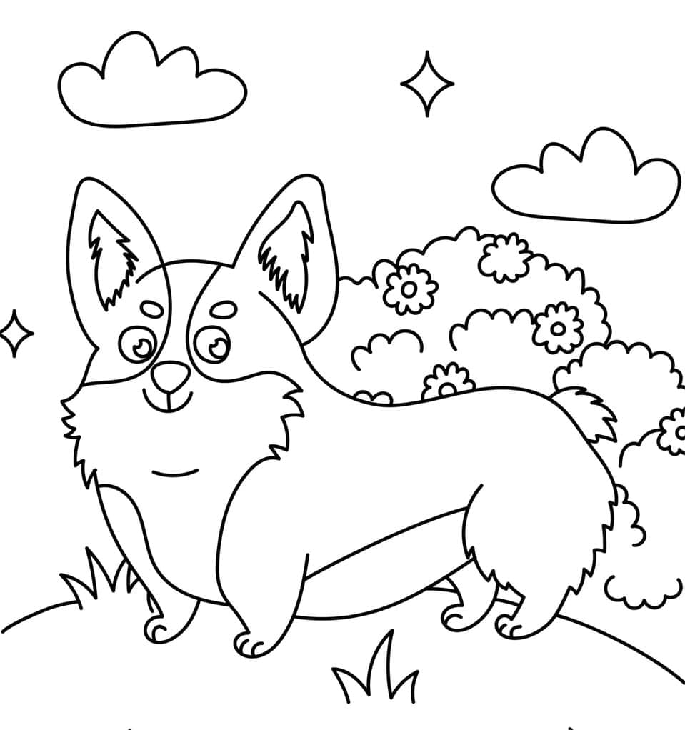 Aranyos Corgi virágokkal