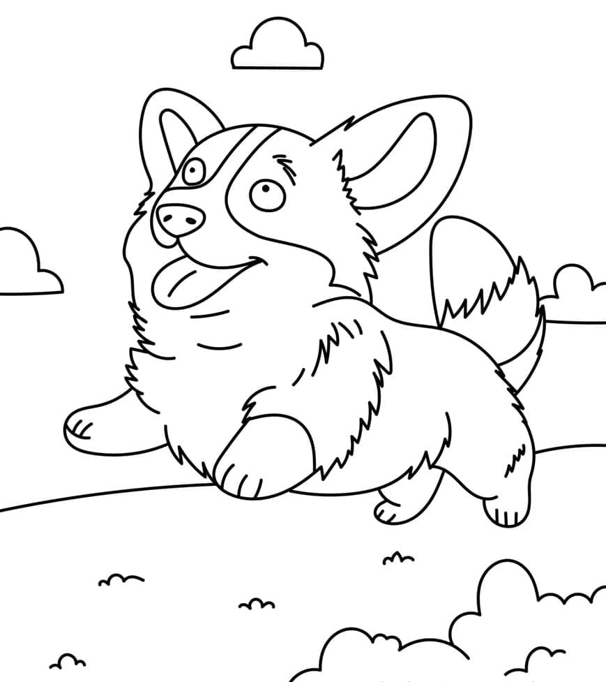 Corgi játszik a kertben