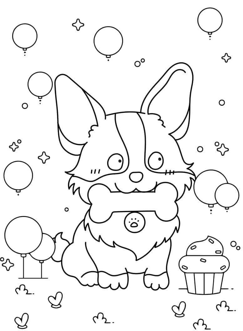 Corgi rágcsálja a csontokat