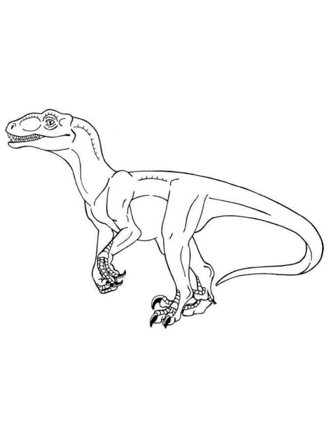 Csodálatos velociraptor