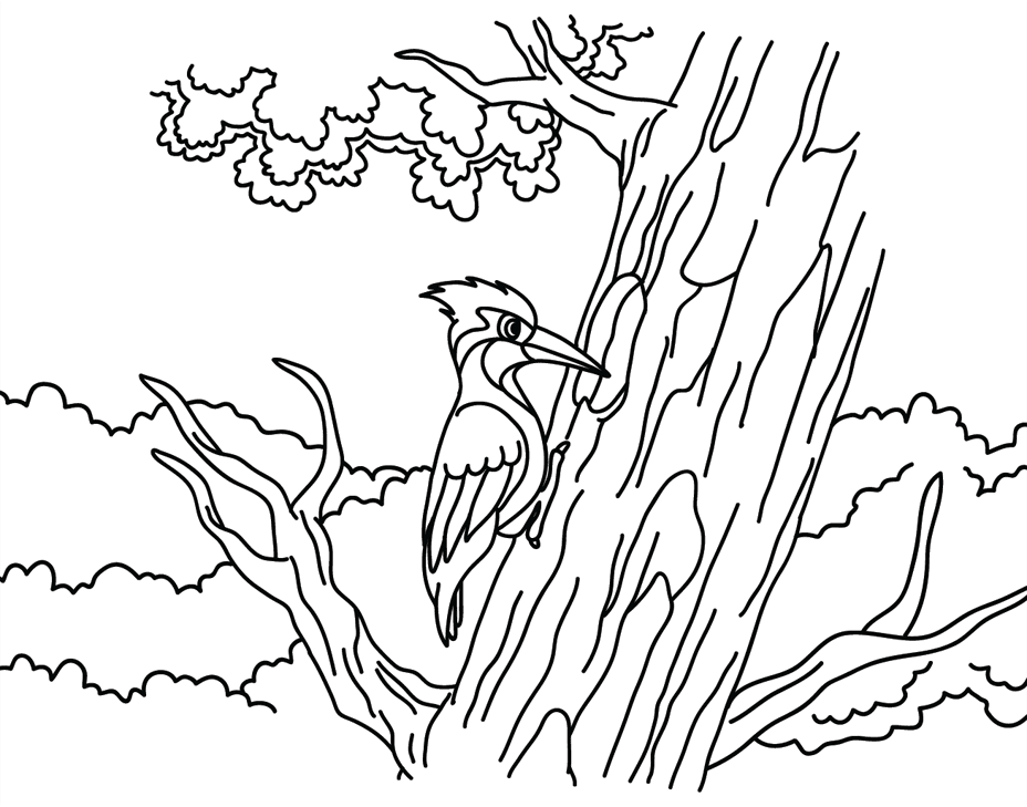 Harkály ingyen gyerekeknek