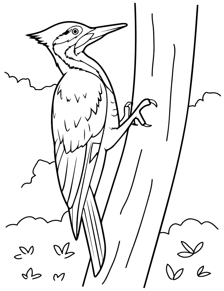 Harkály ingyenes nyomtatás