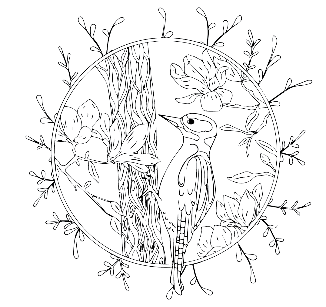 Harkályok nyomtatásra váró képek