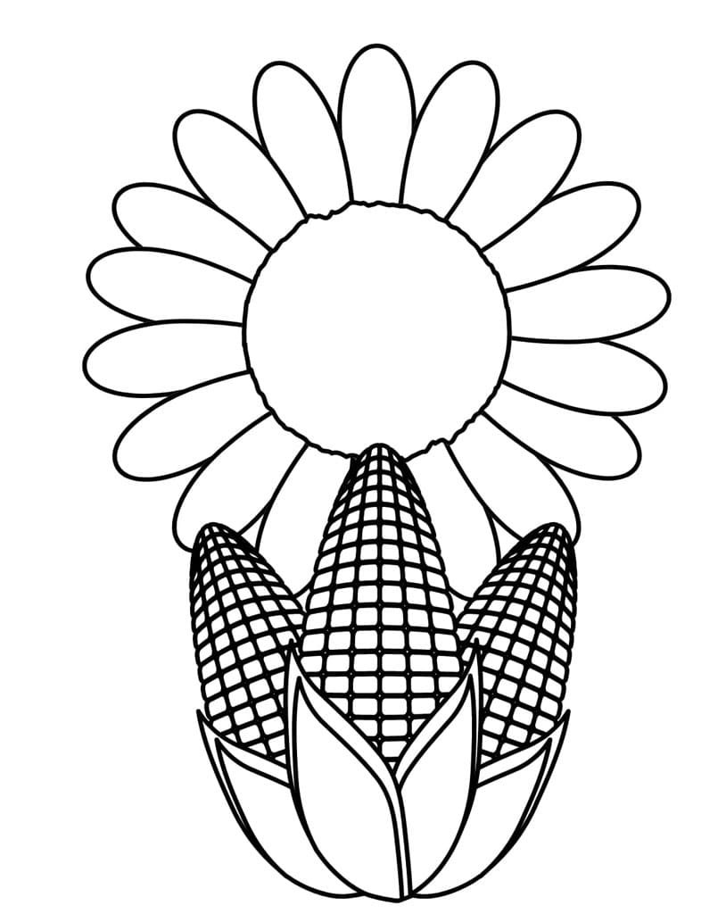 Napraforgó kukoricával