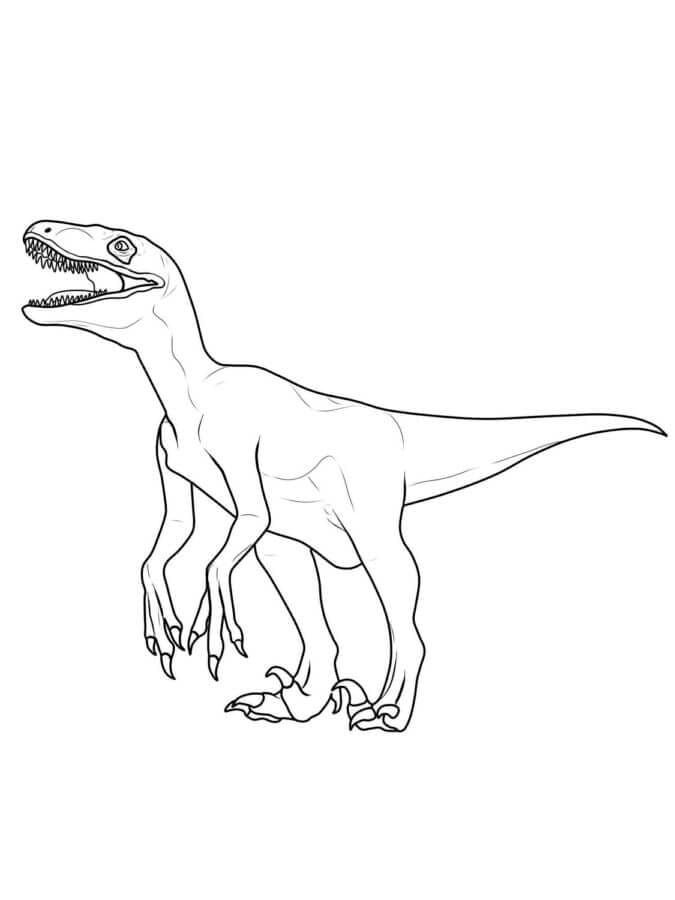 Normál Velociraptor