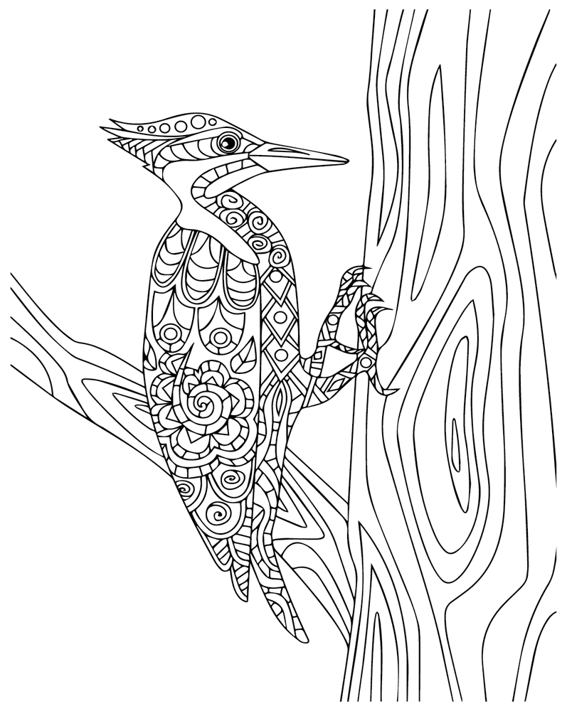 Normális harkályok