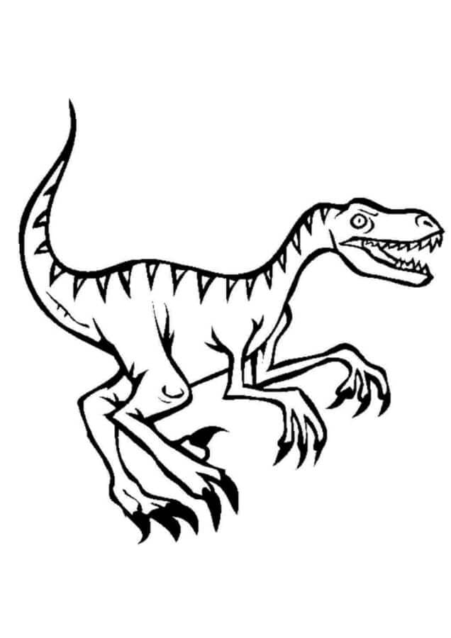 Velociraptor alaprajz