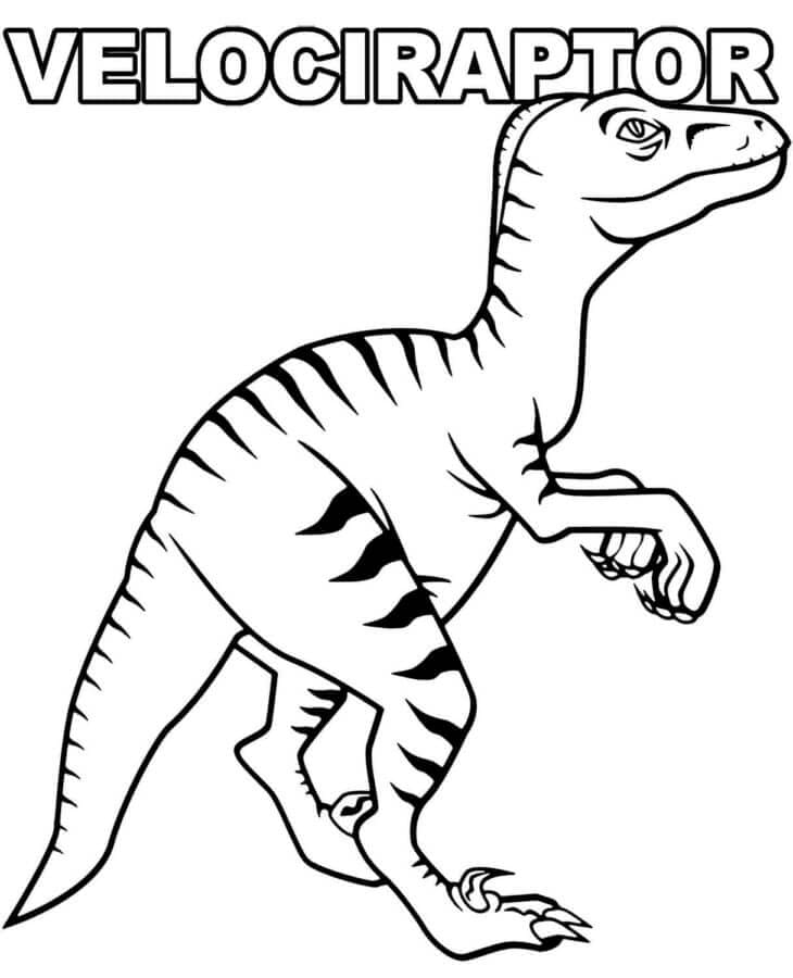 Velociraptor álló