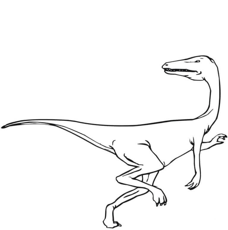 Velociraptor Ingyenes tervezés