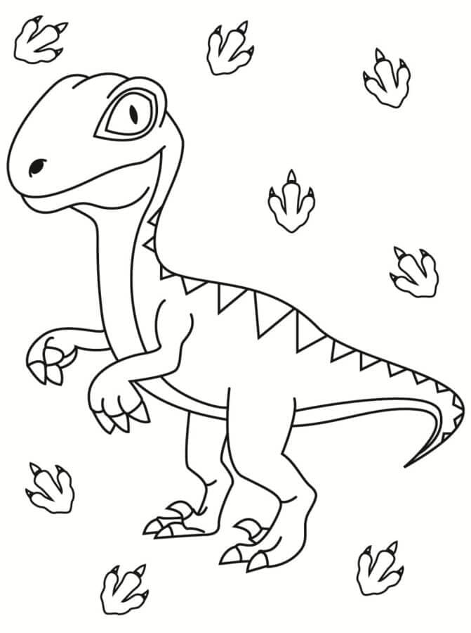 Velociraptor nyomai