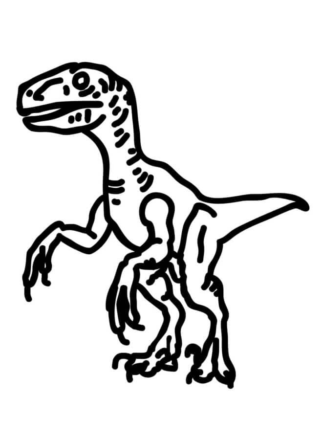Velociraptor rajzolása