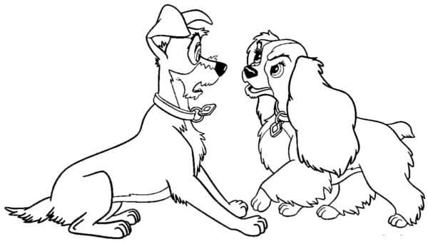 A hölgy és a csavargó veszekedése