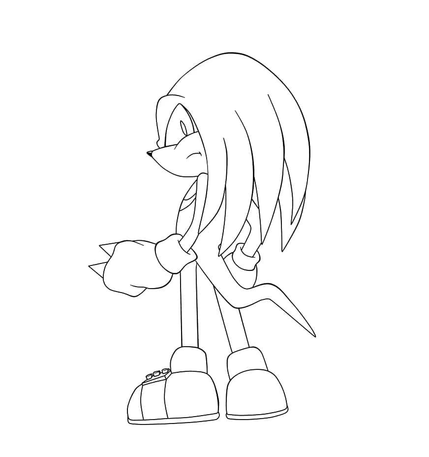 Echidna Knuckles