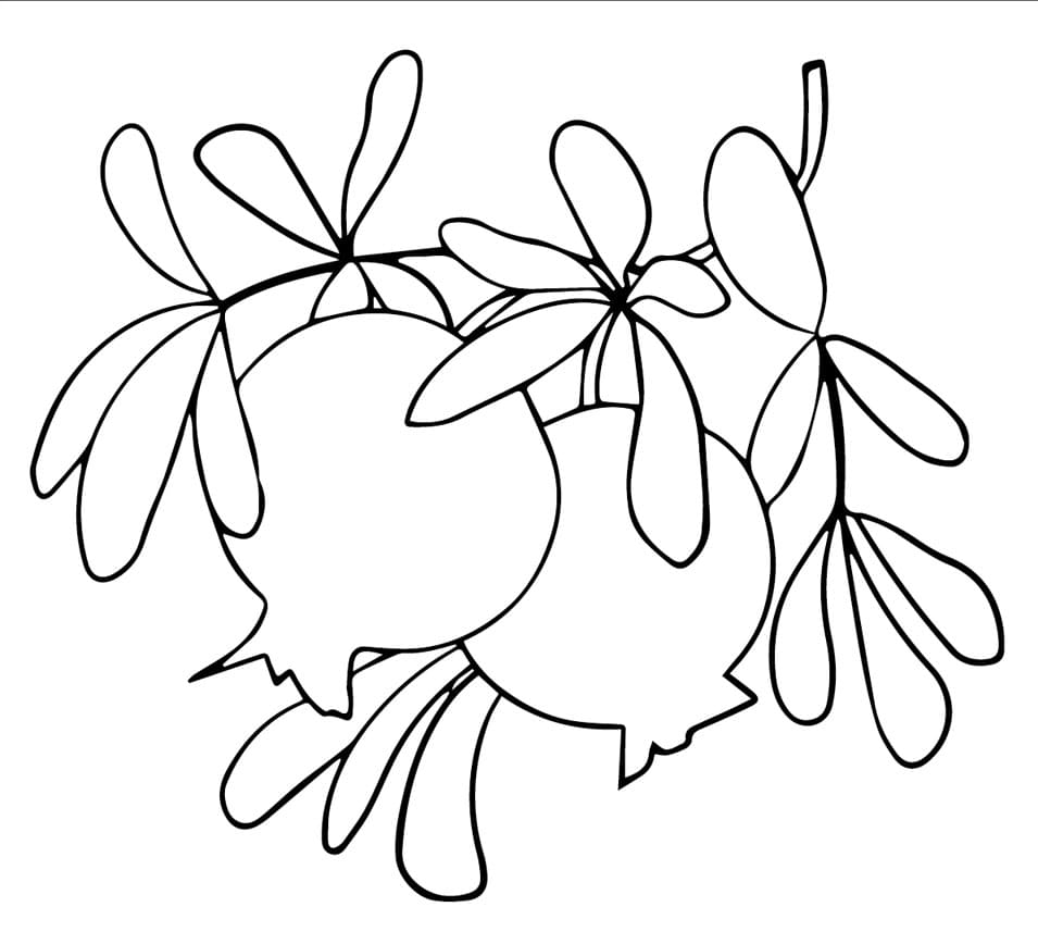 Gránátalma képek ingyen