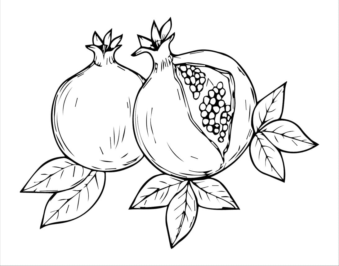 Gránátalma képek nyomtatása