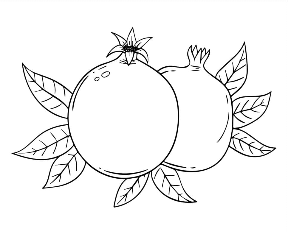 Gránátalma nyomtatható