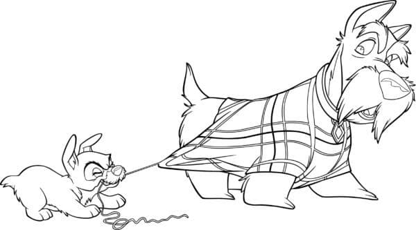 Kísérlet Jock megállítására