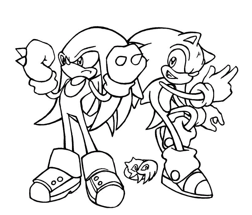 Knuckles, az Echidna és Sonic