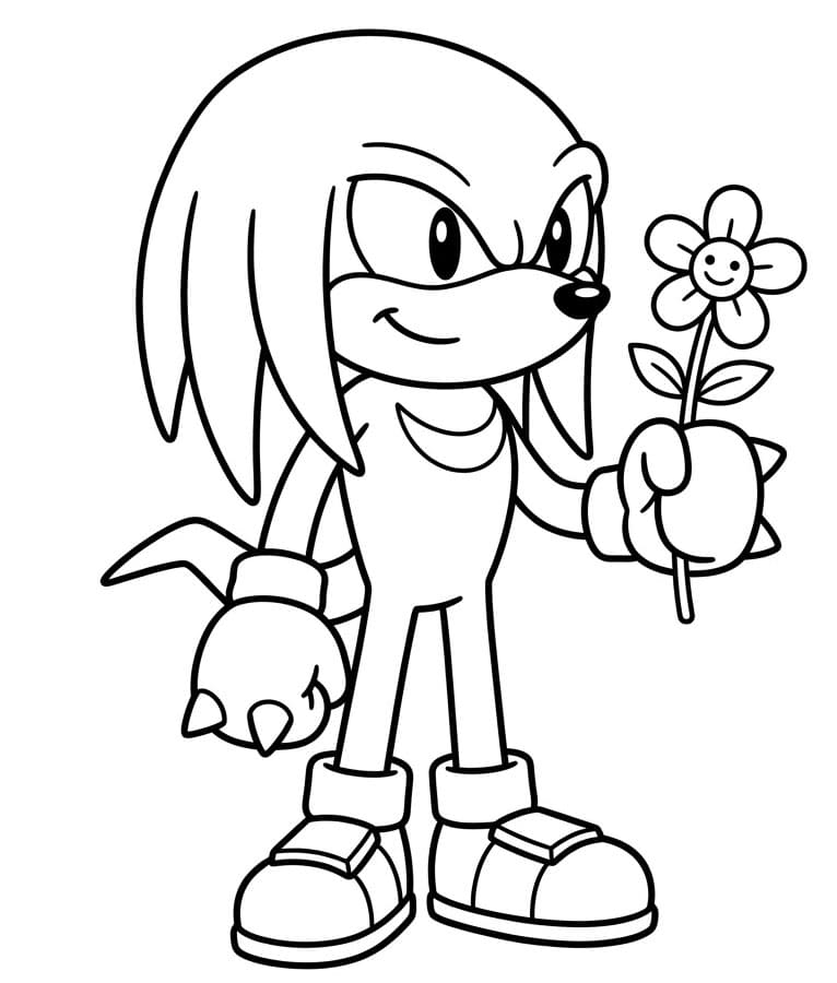 Knuckles virágot tartva