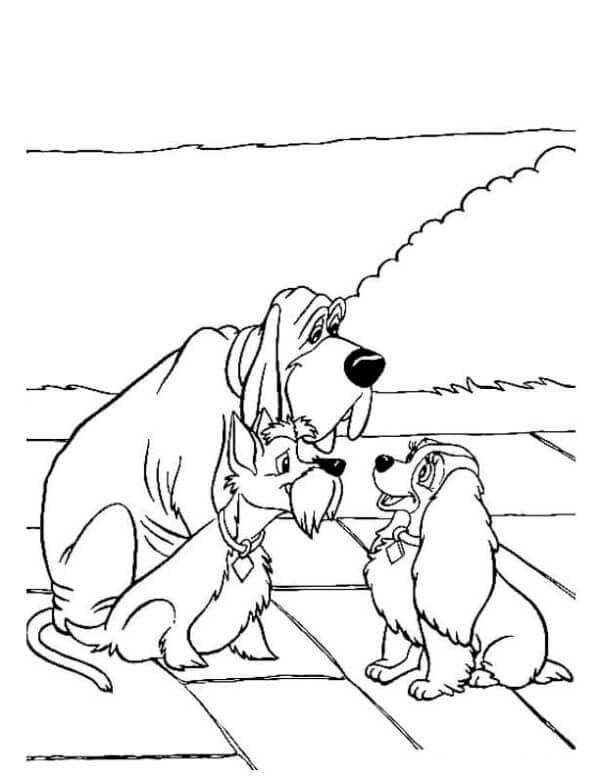 Sportoló és megbízható csevegés a hölggyel