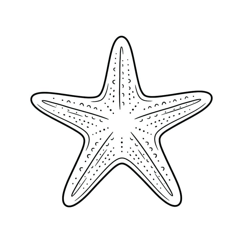 Aranyos tengeri csillag ingyen