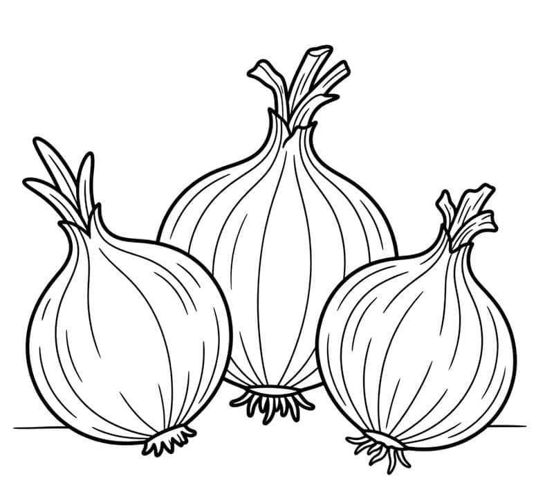 Hagymacsoport