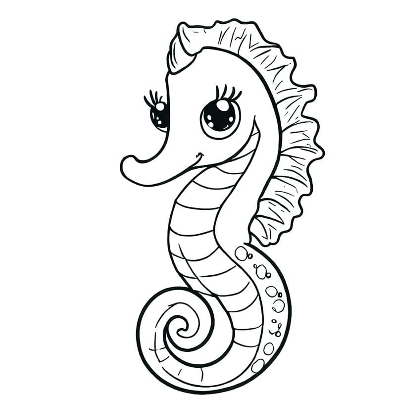 Imádnivaló csikóhal