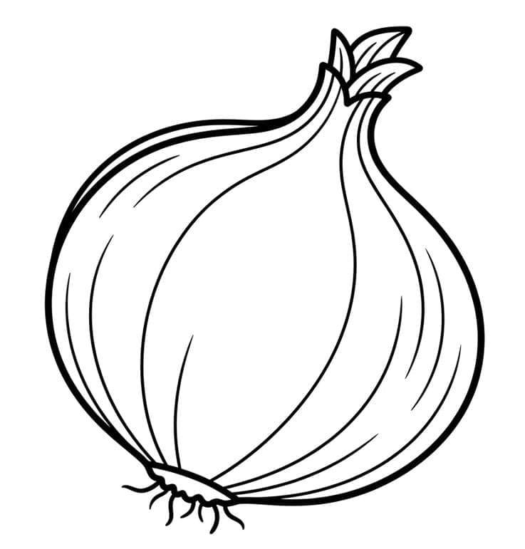 Hagyma színezők