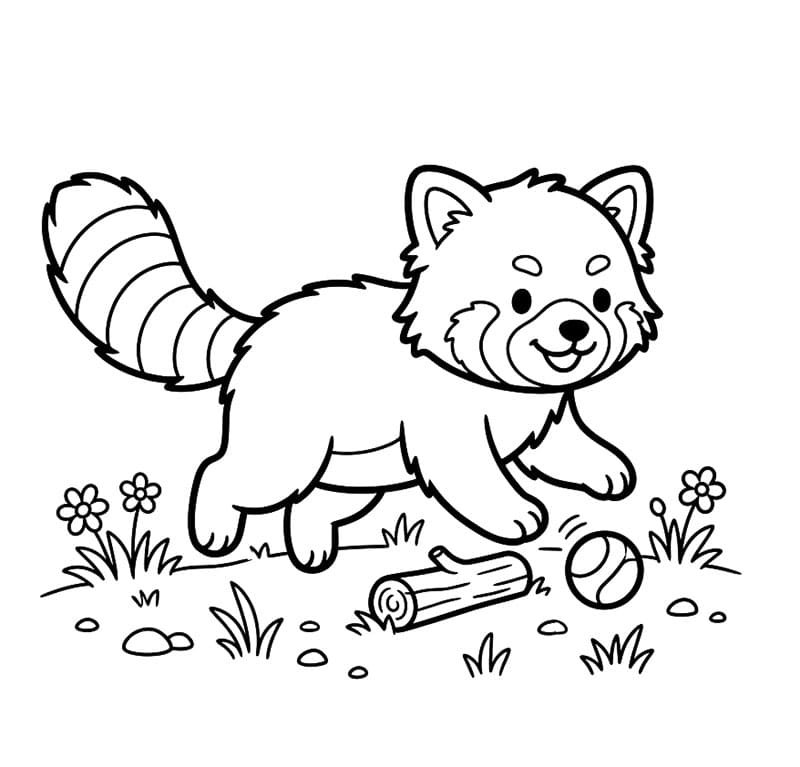 Részletes vörös panda