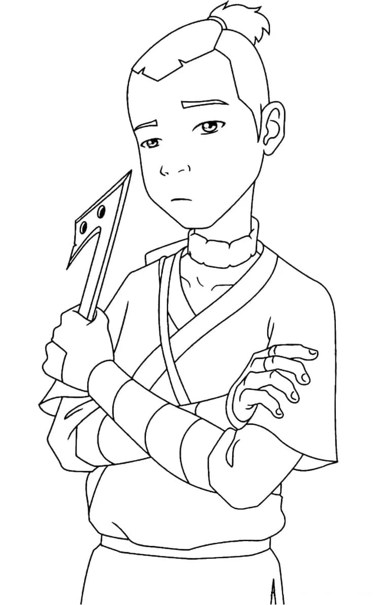 Sokka az Avatarból